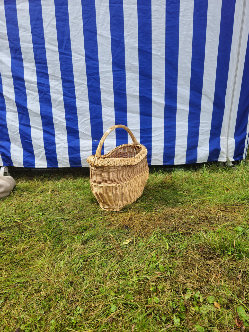 Wicker Oval Basket with Braided Rim - Small Handwoven Willow Basket