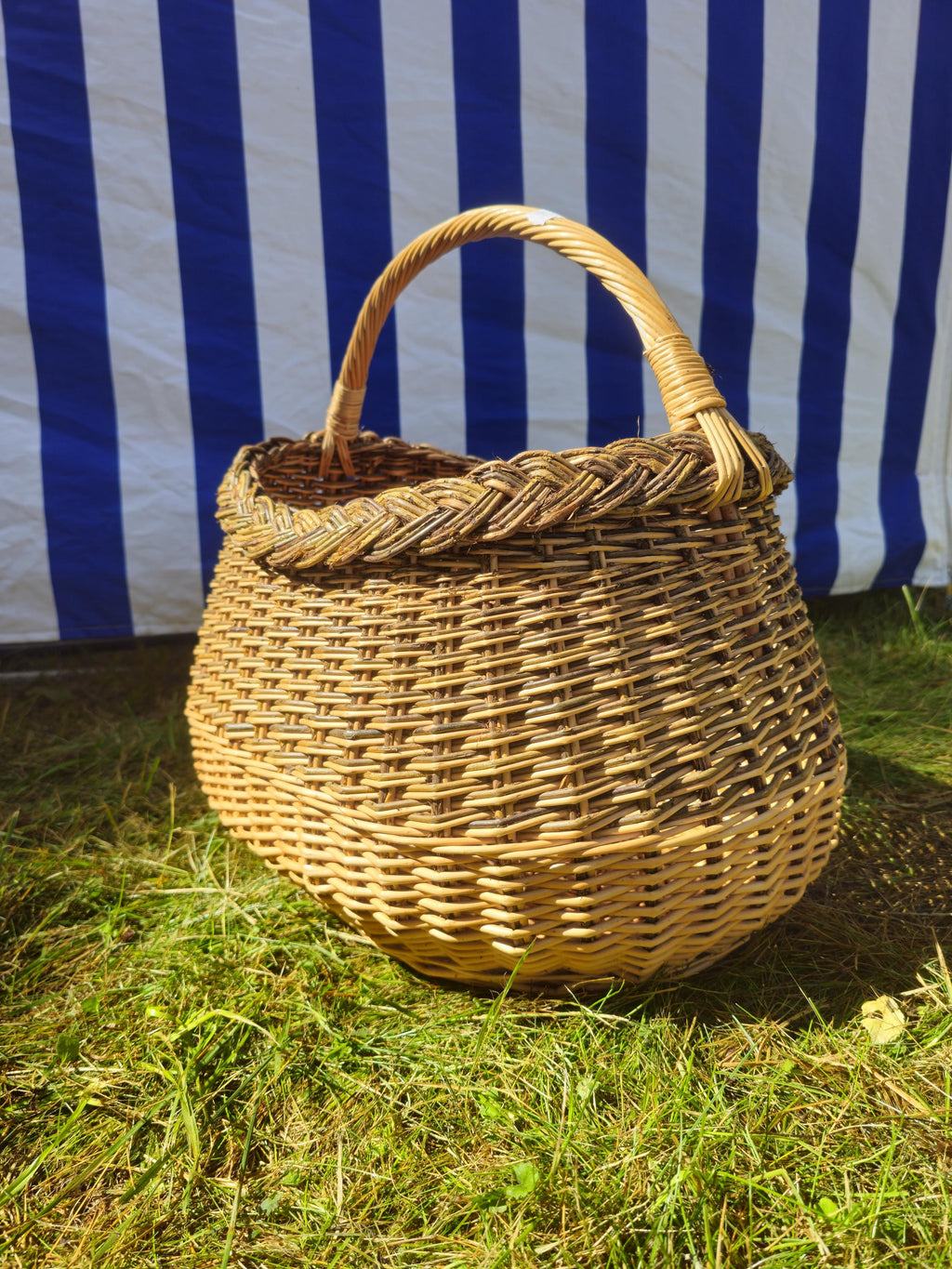 Wicker Mushroom Basket with Braided Rim - Handwoven Foraging Basket