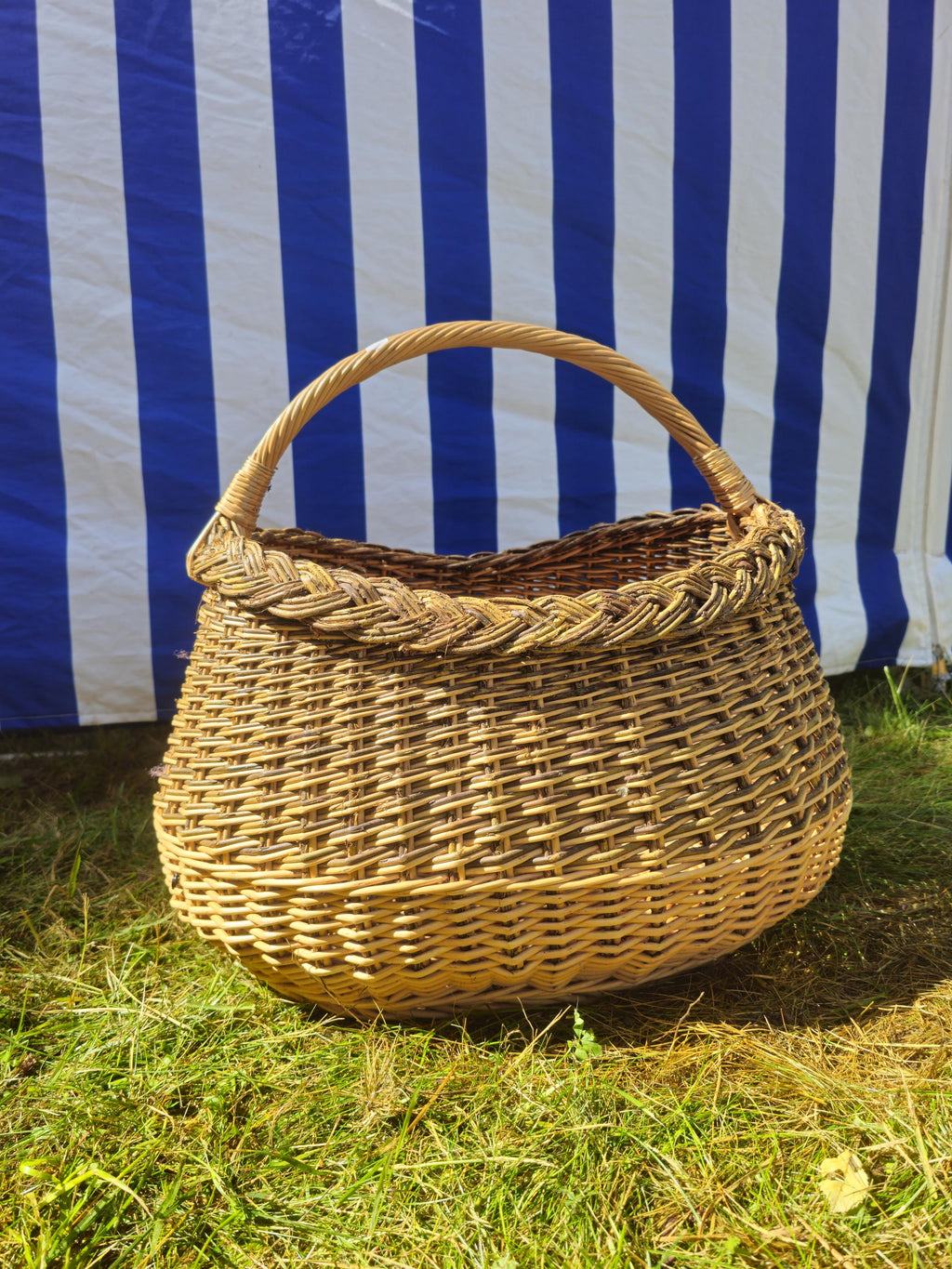 Wicker Mushroom Basket with Braided Rim - Handwoven Foraging Basket