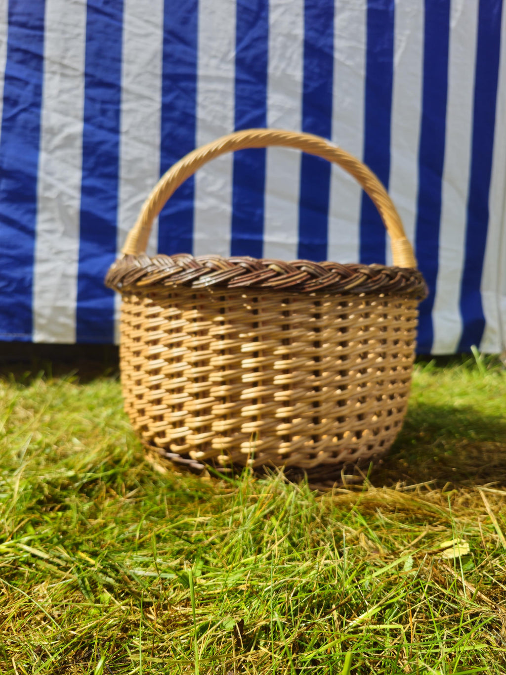 Wicker Mushroom Basket with Braided Rim - Handwoven Foraging Basket