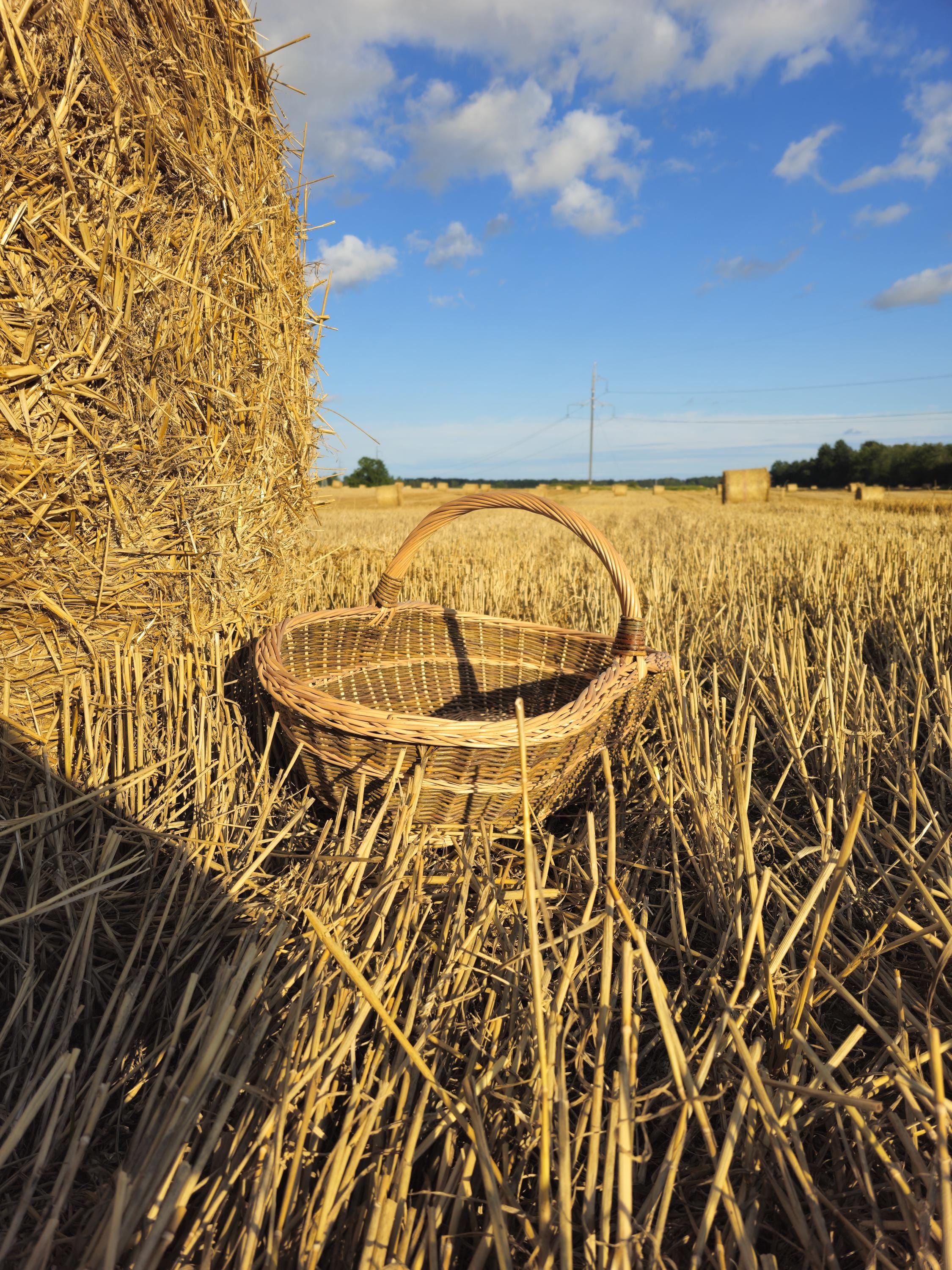 Handwoven Willow Trug Basket: Extra Large Foraging &amp; Rustic Decor