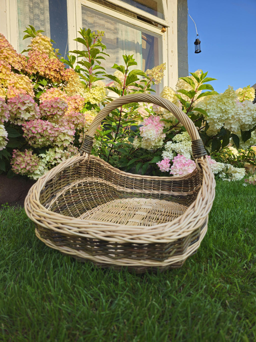 Extra-large Wicker Basket | Two-Tone Willow Trug for Foraging &amp; Flower Gathering | Rustic Farmhouse Decoration