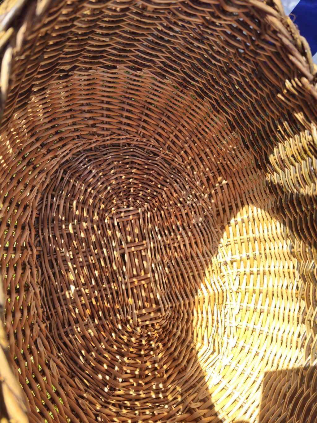 Wicker Mushroom Basket with Braided Rim - Handwoven Foraging Basket