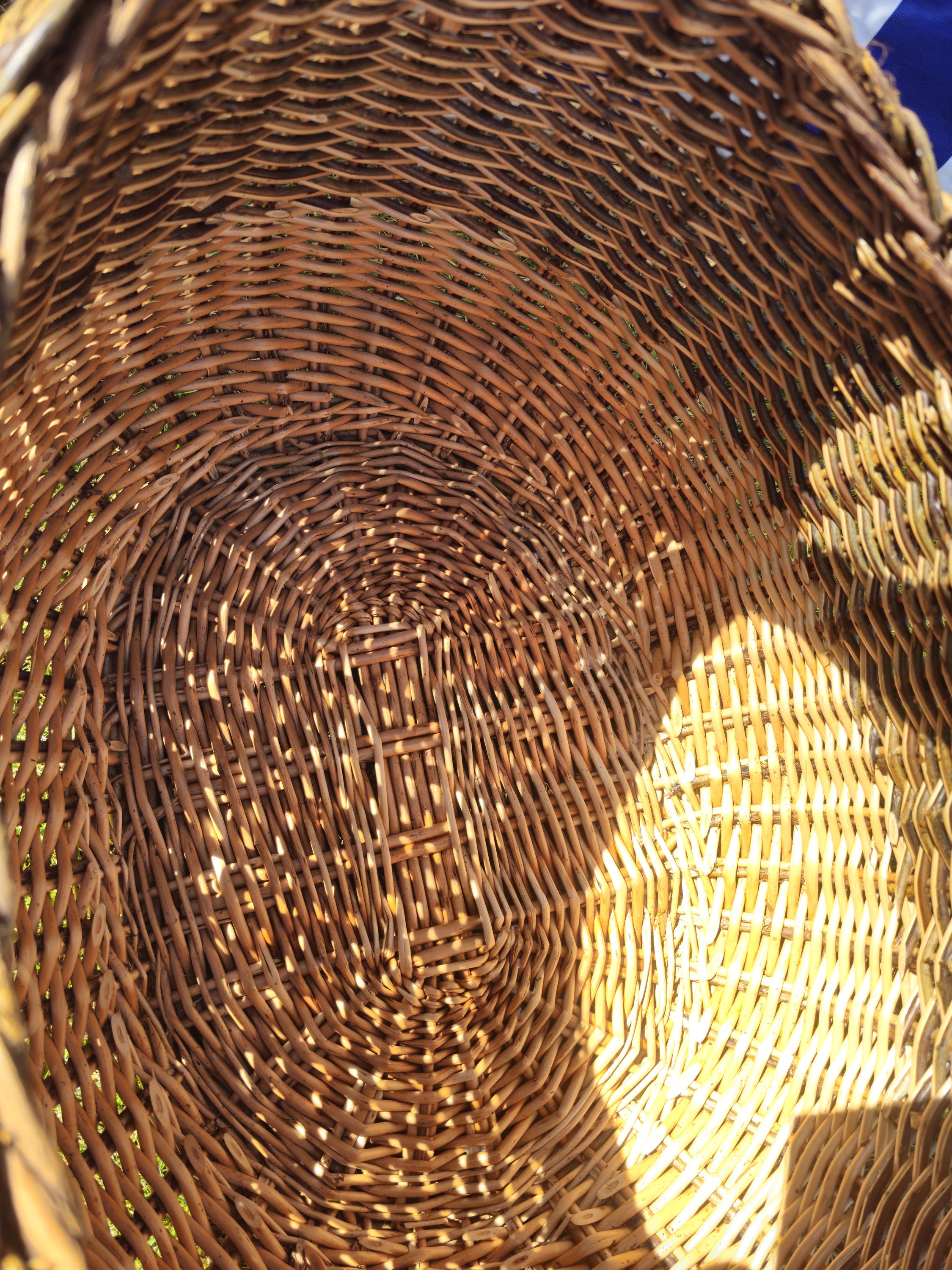Wicker Mushroom Basket with Braided Rim - Handwoven Foraging Basket