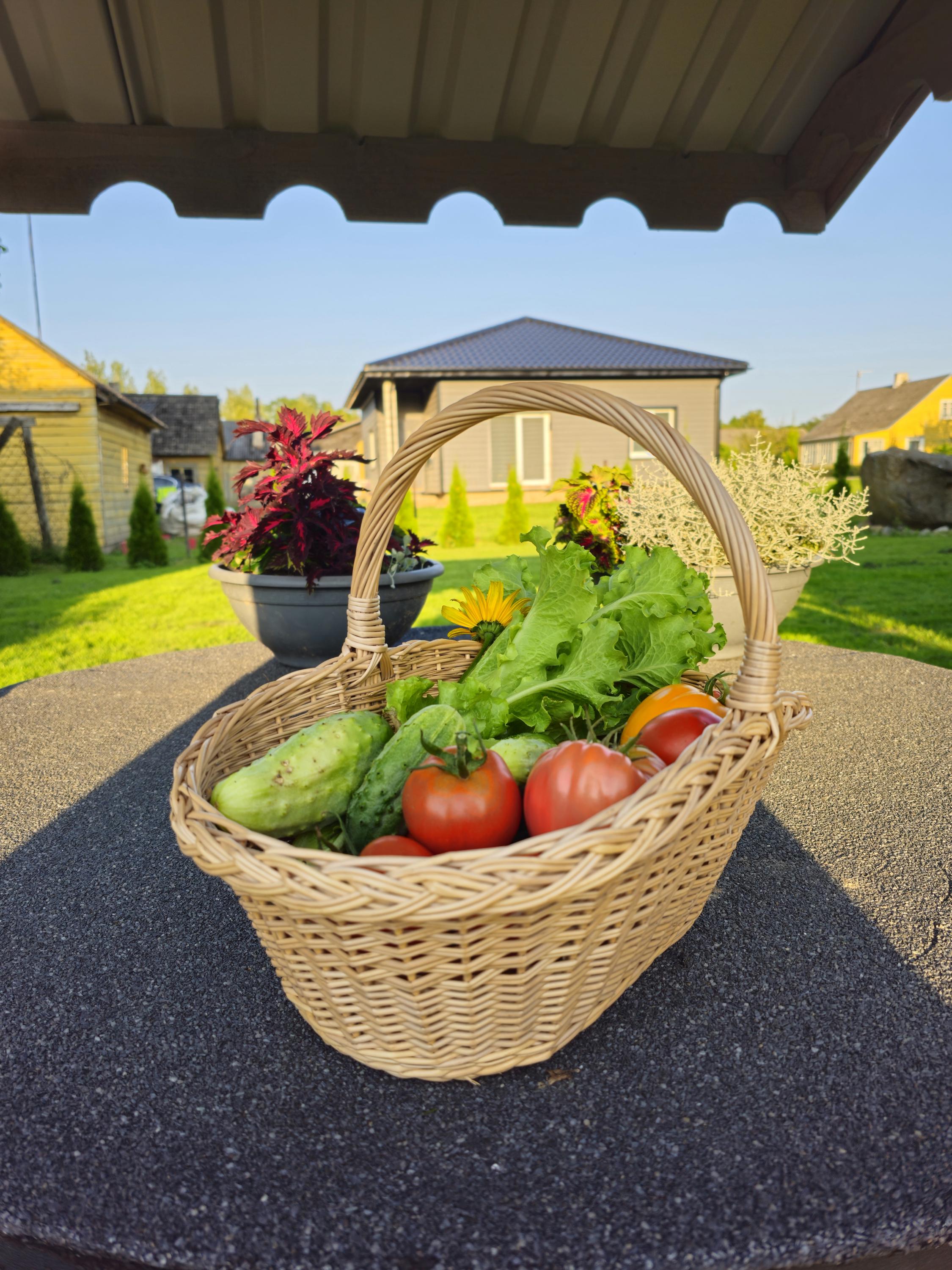 Handwoven Willow Basket: Farmhouse Decor &amp; Bread Storage