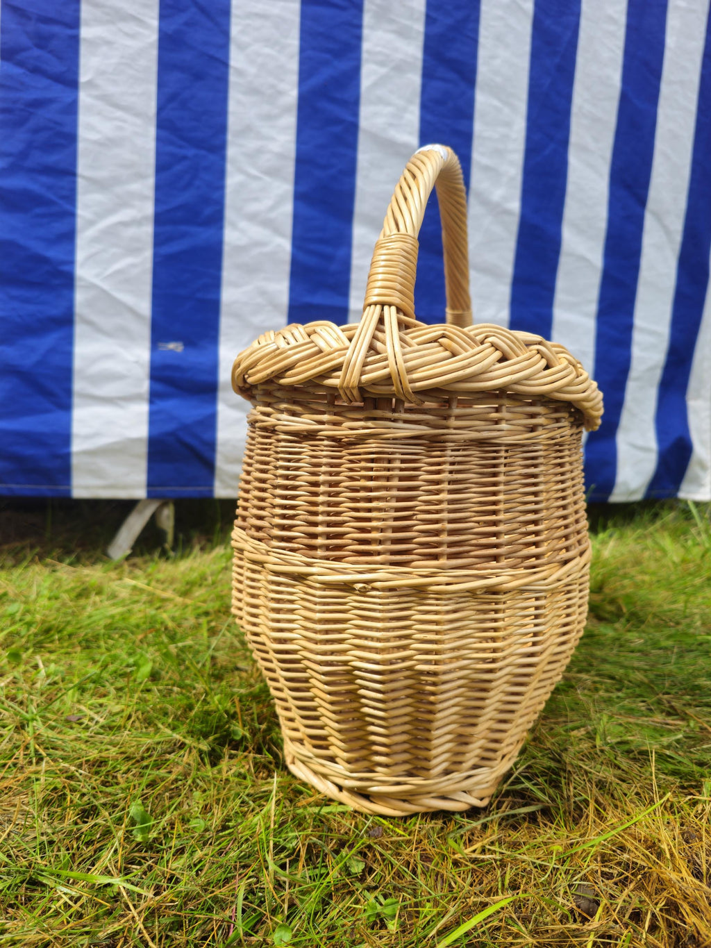 Wicker Oval Basket with Braided Rim - Small Handwoven Willow Basket