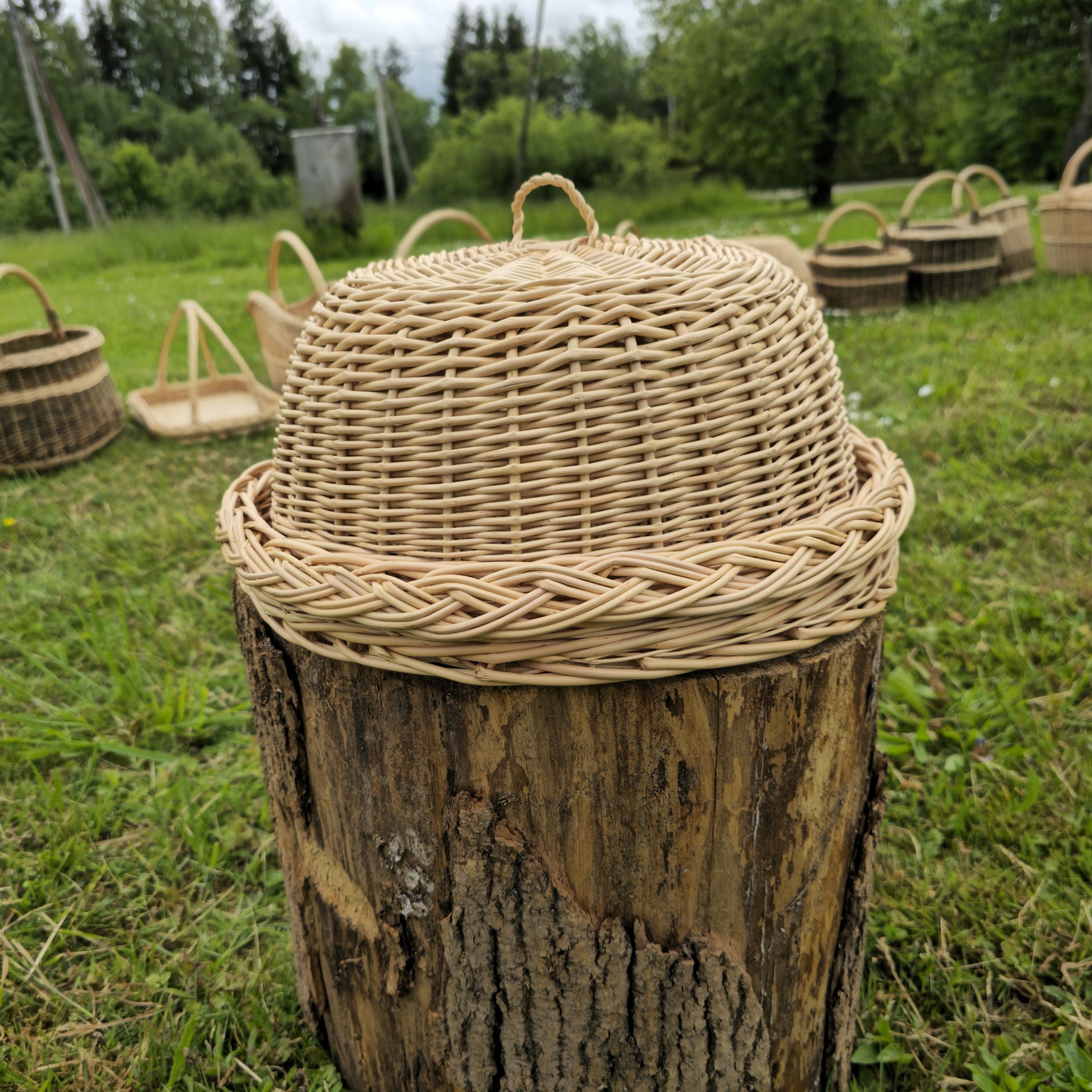 Handmade Willow Food Cover Set: Rustic Kitchen Cloche &amp; Tray