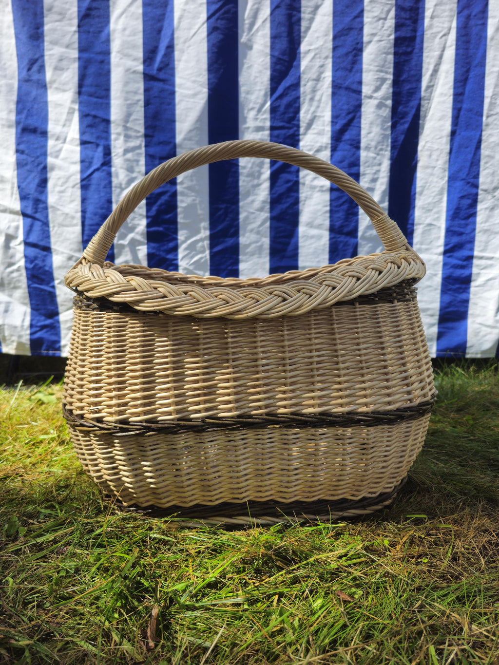 Wicker Oval Basket with Braided Rim - Medium Handwoven Willow Basket