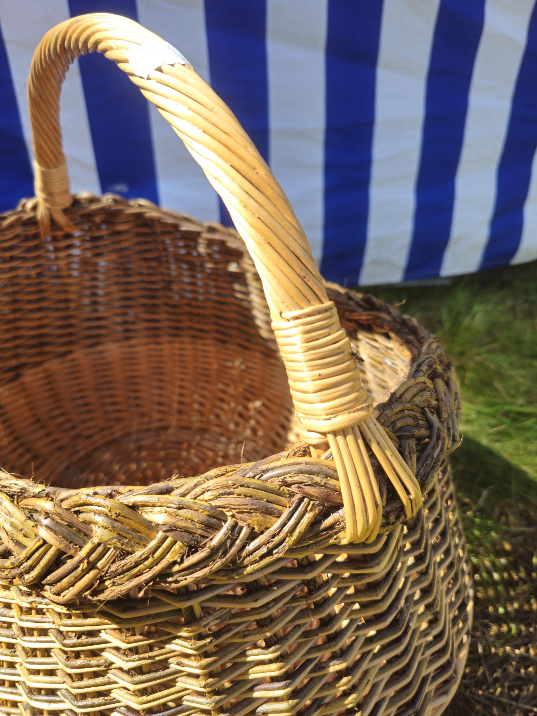 Wicker Mushroom Basket with Braided Rim - Handwoven Foraging Basket