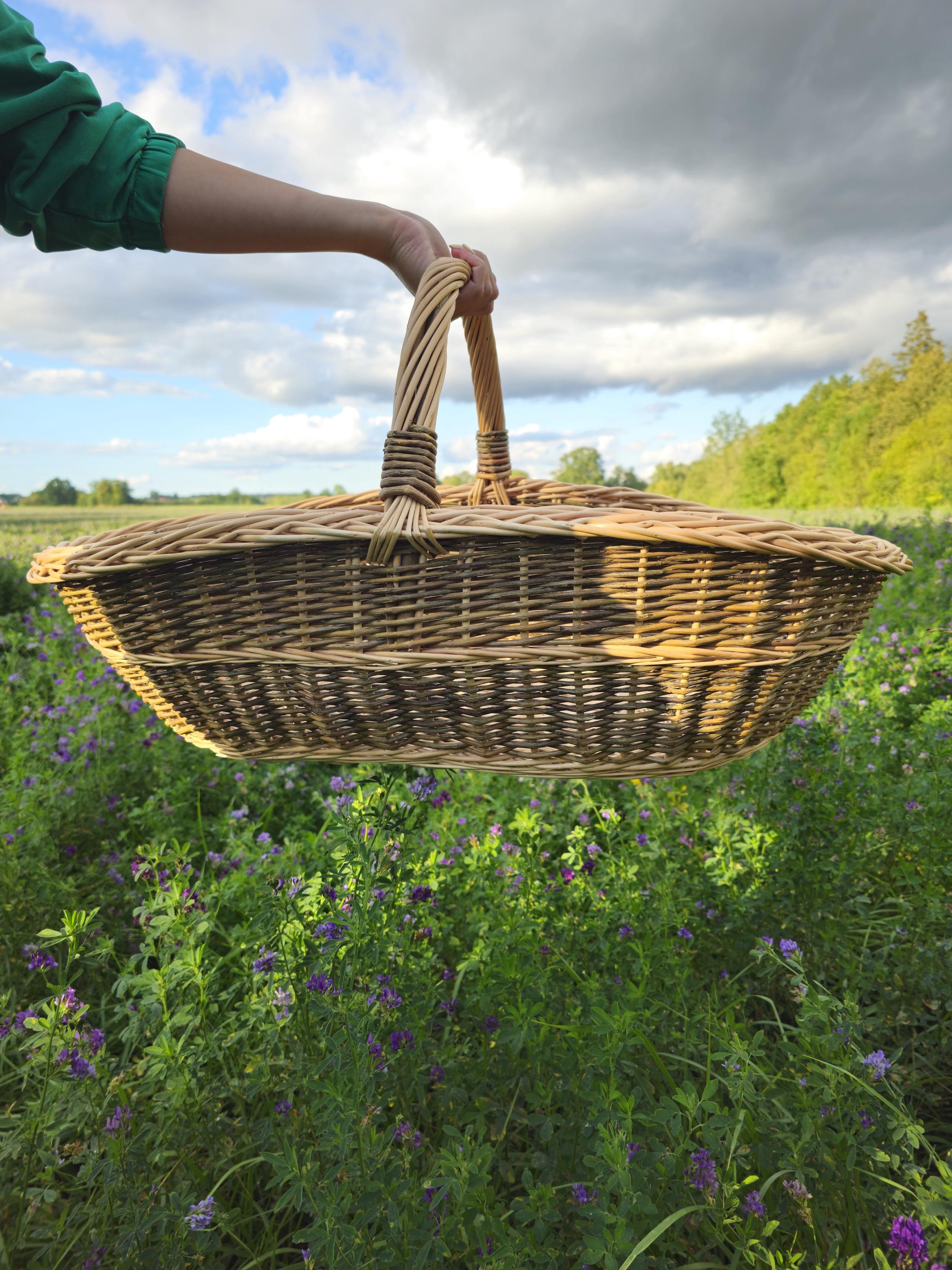 Handwoven Willow Trug Basket: Extra Large Foraging &amp; Rustic Decor