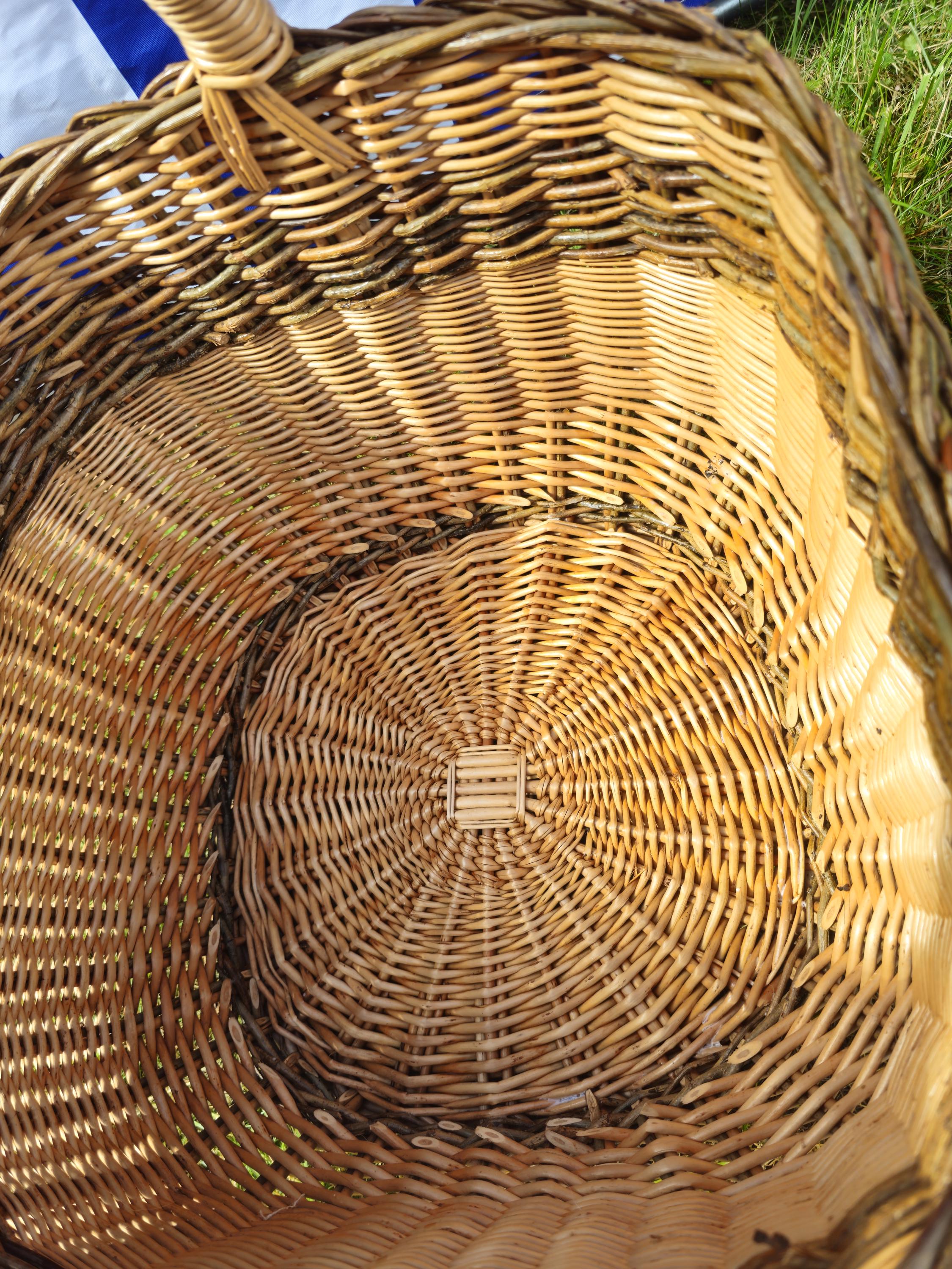 Wicker Mushroom Basket with Braided Rim - Handwoven Foraging Basket