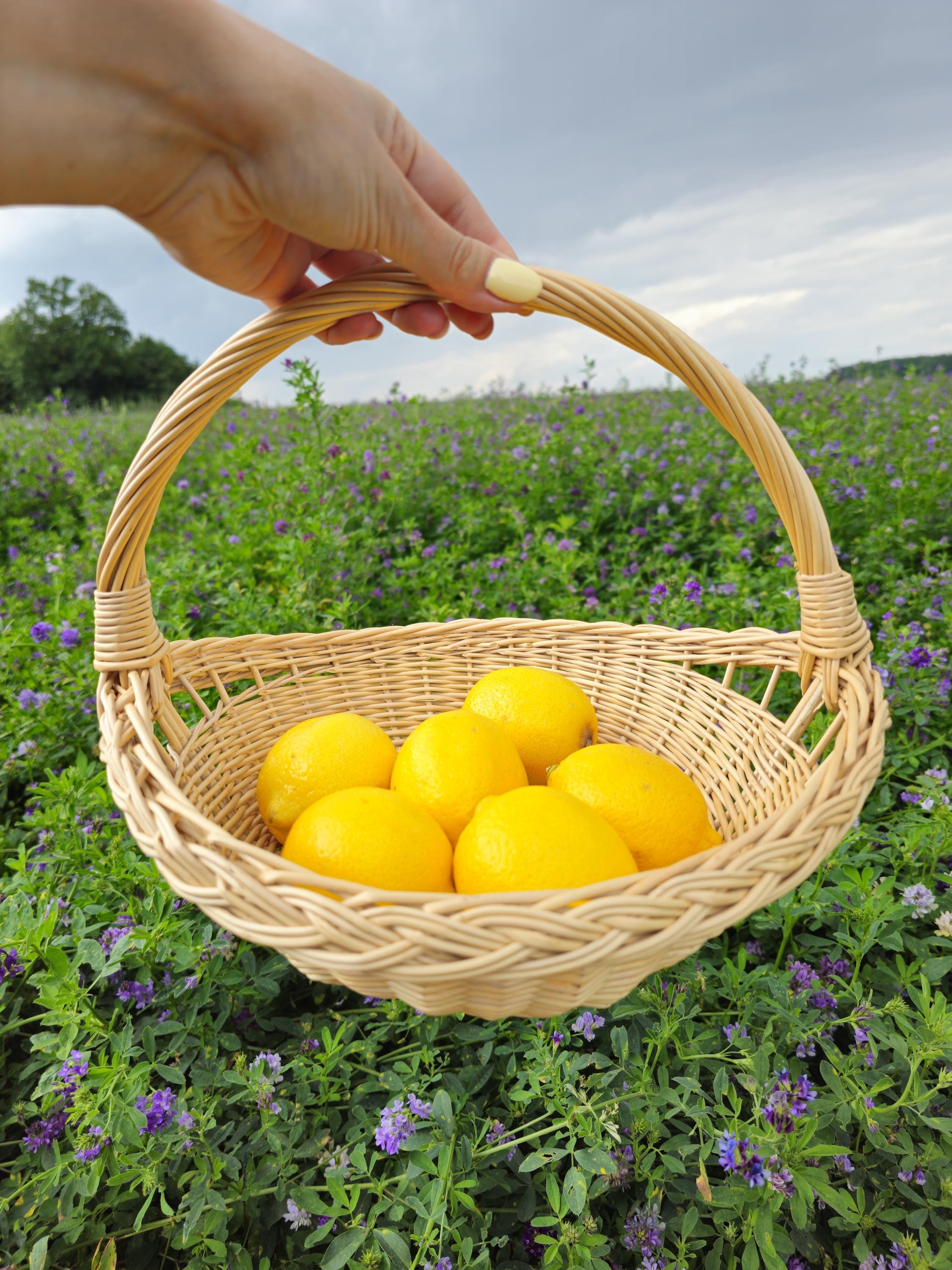 Handwoven Willow Trug Basket: Rustic Wedding &amp; Home Display