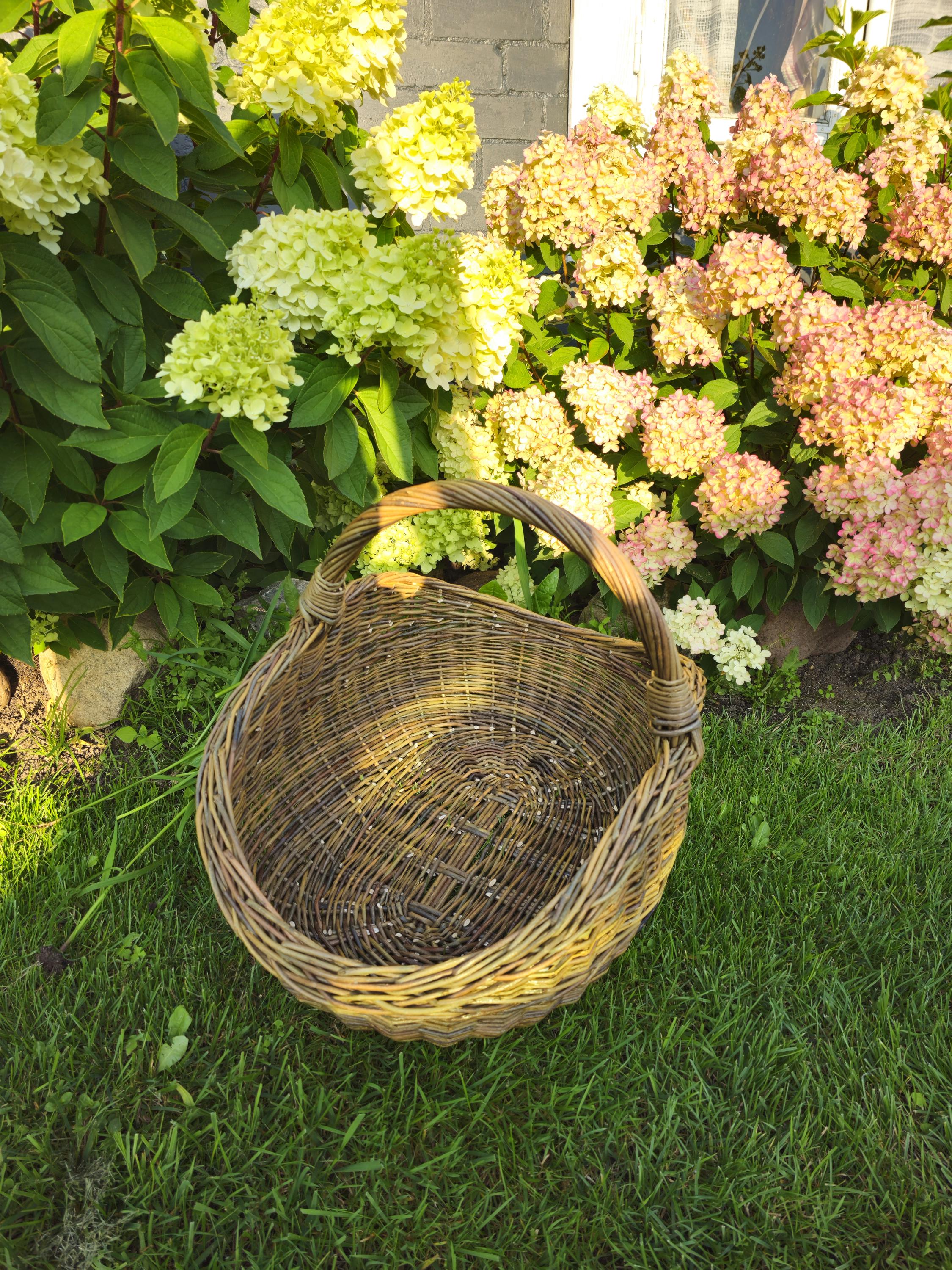 Handwoven Unpeeled Willow Basket: Rustic Gathering &amp; Harvest Basket