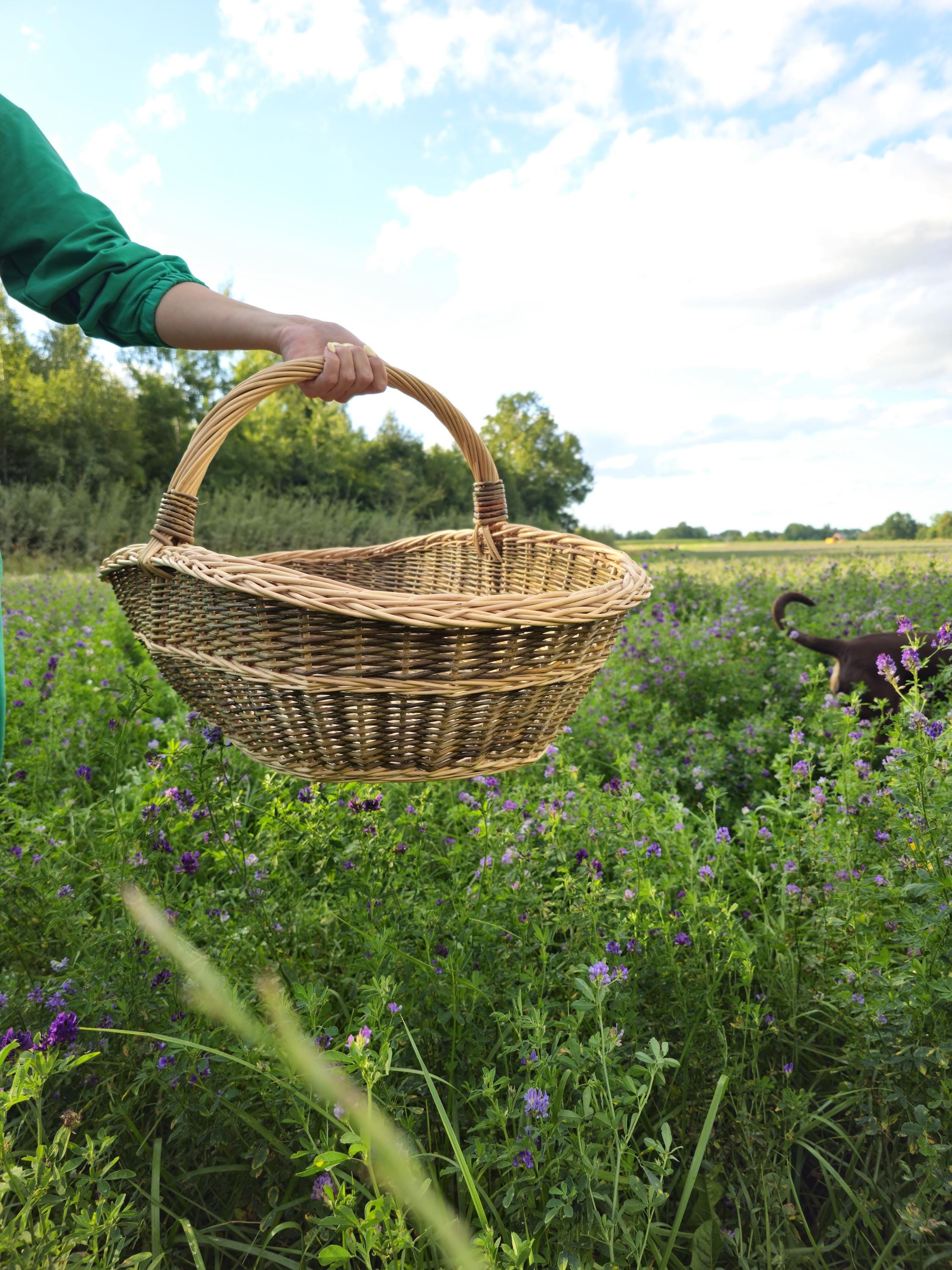Handwoven Willow Trug Basket: Extra Large Foraging &amp; Rustic Decor