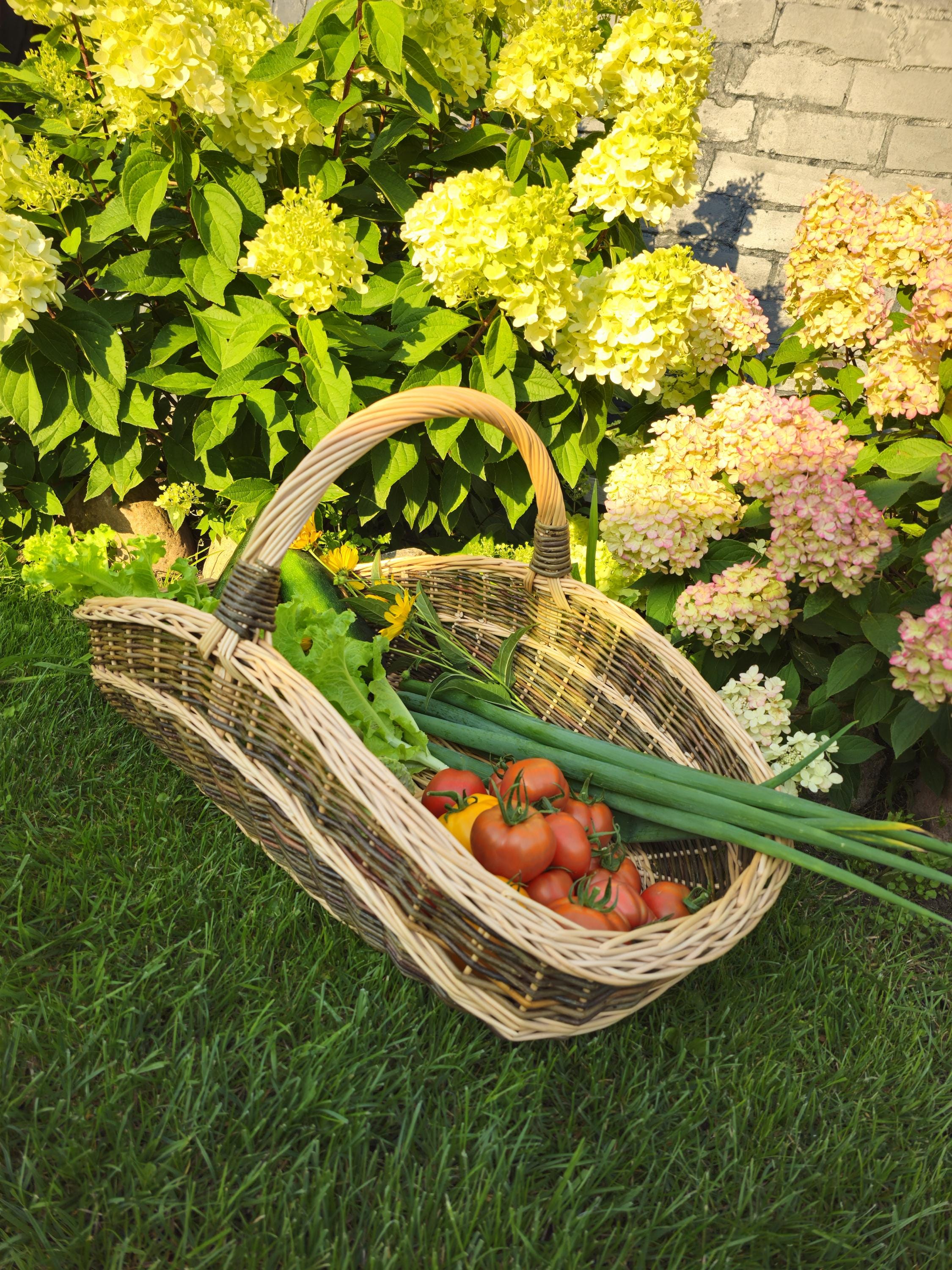 Extra-large Wicker Basket | Two-Tone Willow Trug for Foraging &amp; Flower Gathering | Rustic Farmhouse Decoration