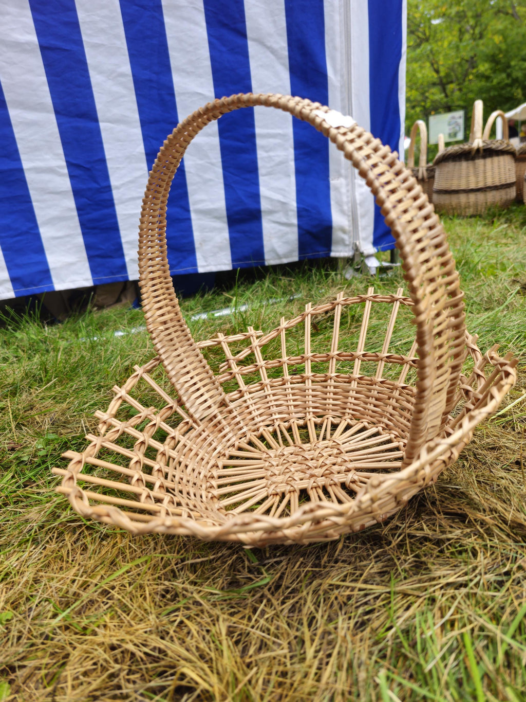 Shallow Wicker Display Basket with Arched Handle - Oval Handwoven Tray