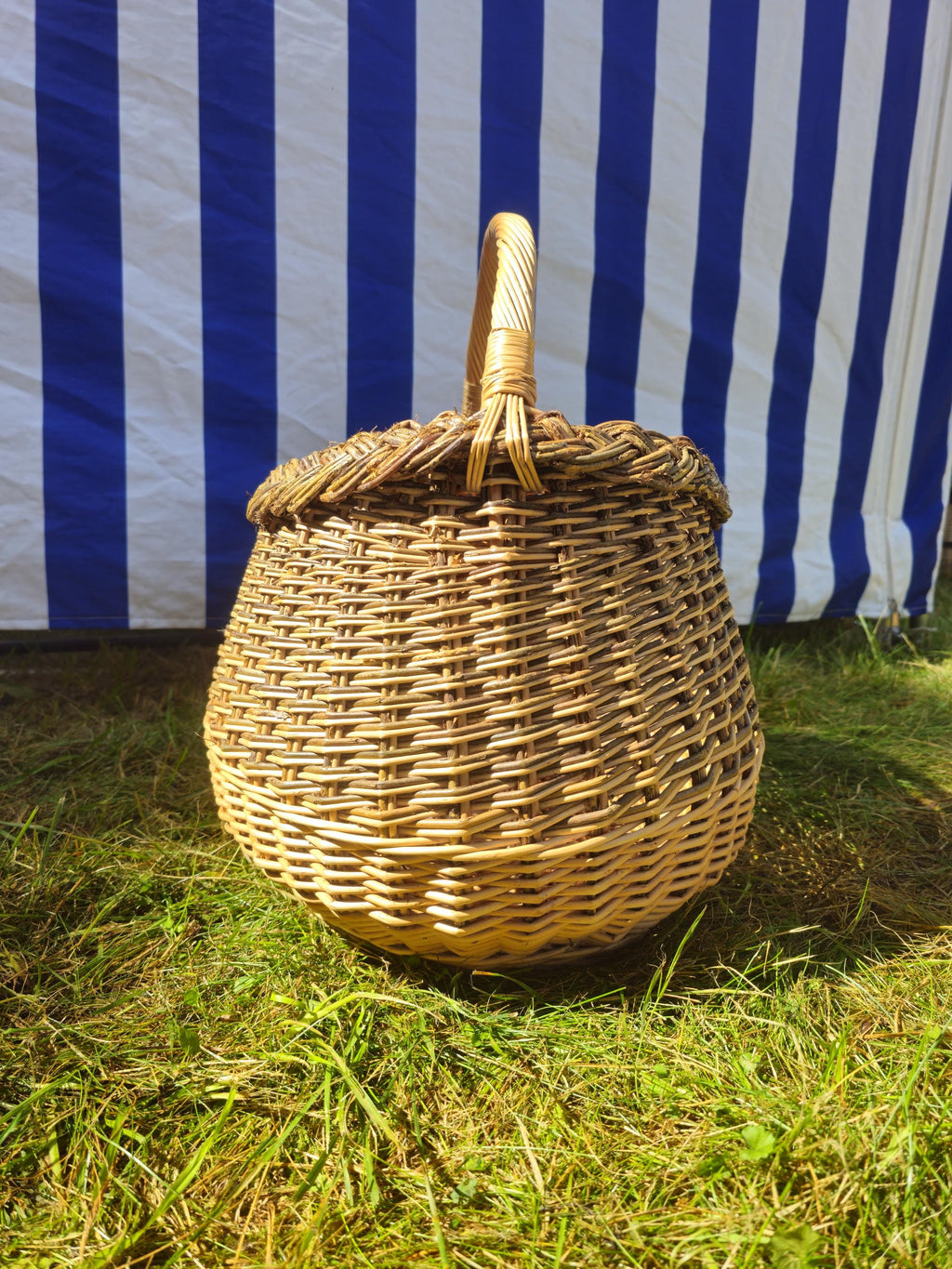Wicker Mushroom Basket with Braided Rim - Handwoven Foraging Basket