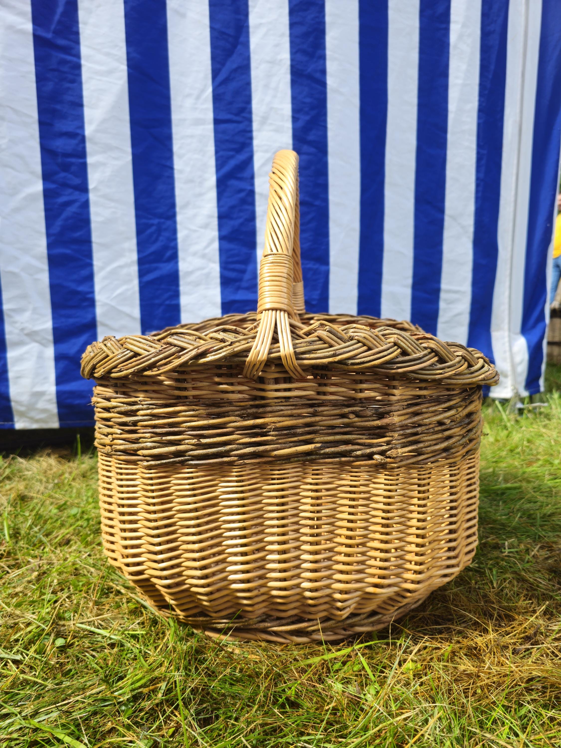 Wicker Mushroom Basket with Braided Rim - Handwoven Foraging Basket